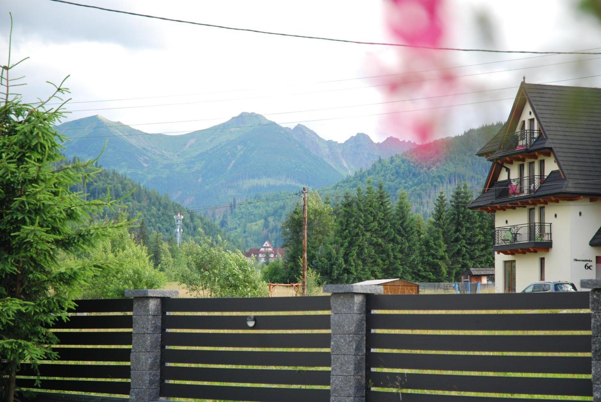 "Czarna Turnia "Zakopane Bed and Breakfast Buitenkant foto